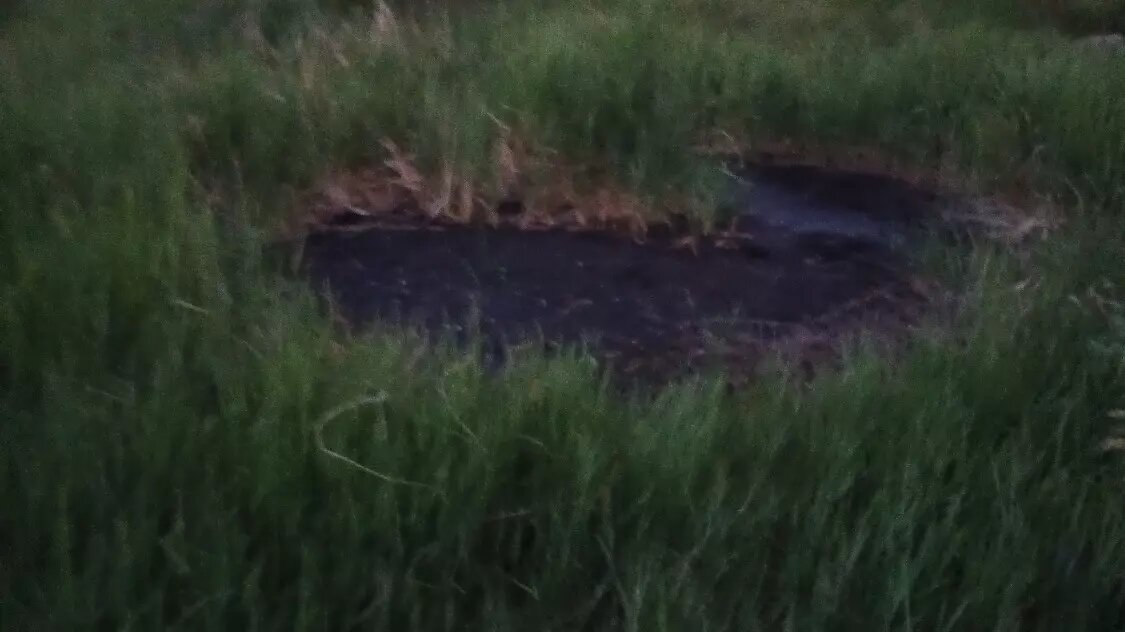     Автор: читатели Источник: rostovgazeta.ru