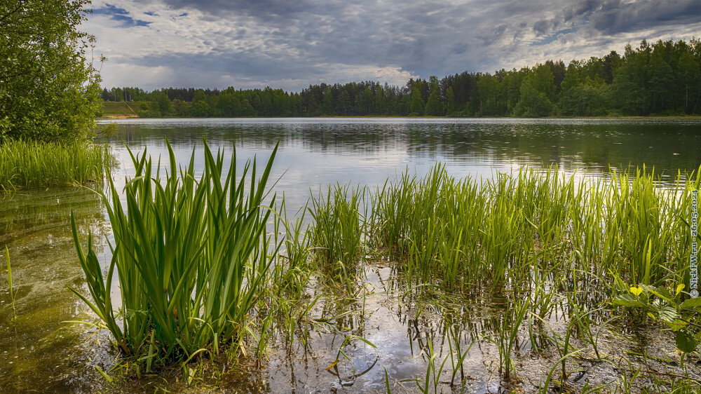 1. Амазонка ... © NickFW.ru — 26.05.2024г.