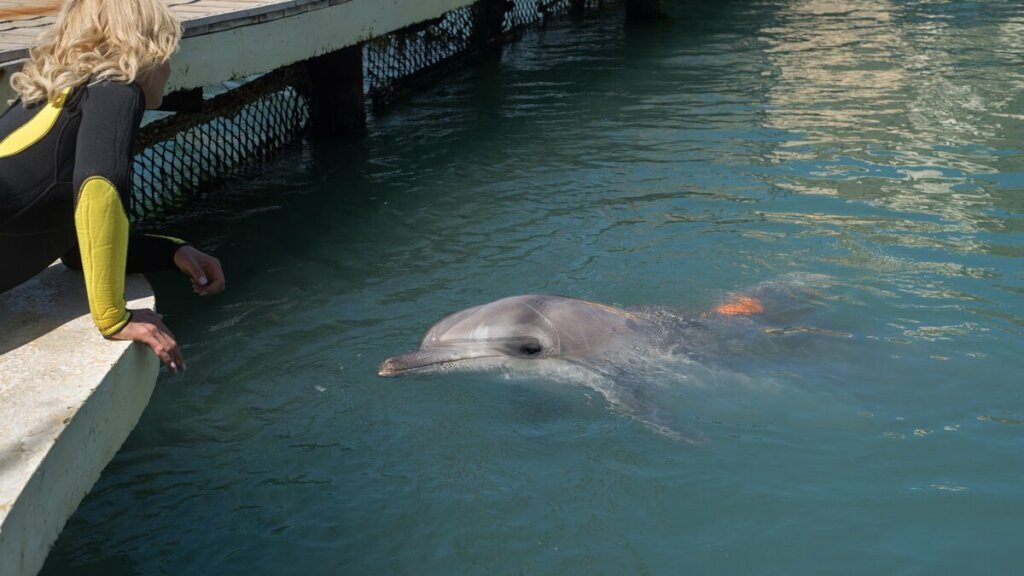    Фото: кадр со съемок