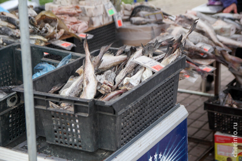    Универсальная ярмарка пройдет 31 мая, в пятницу, на площади Химиков.