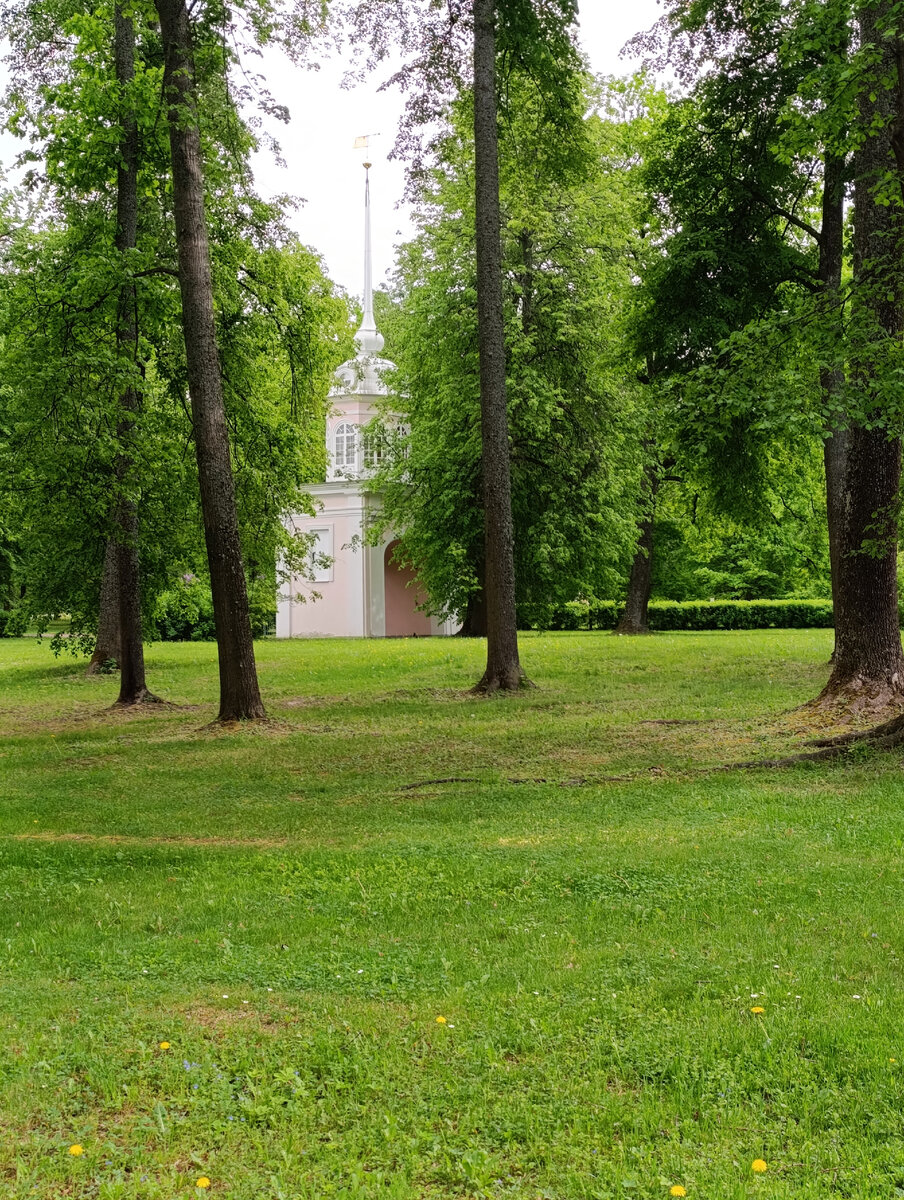 Все фото в статье авторские! В парке Ораниенбаум. 