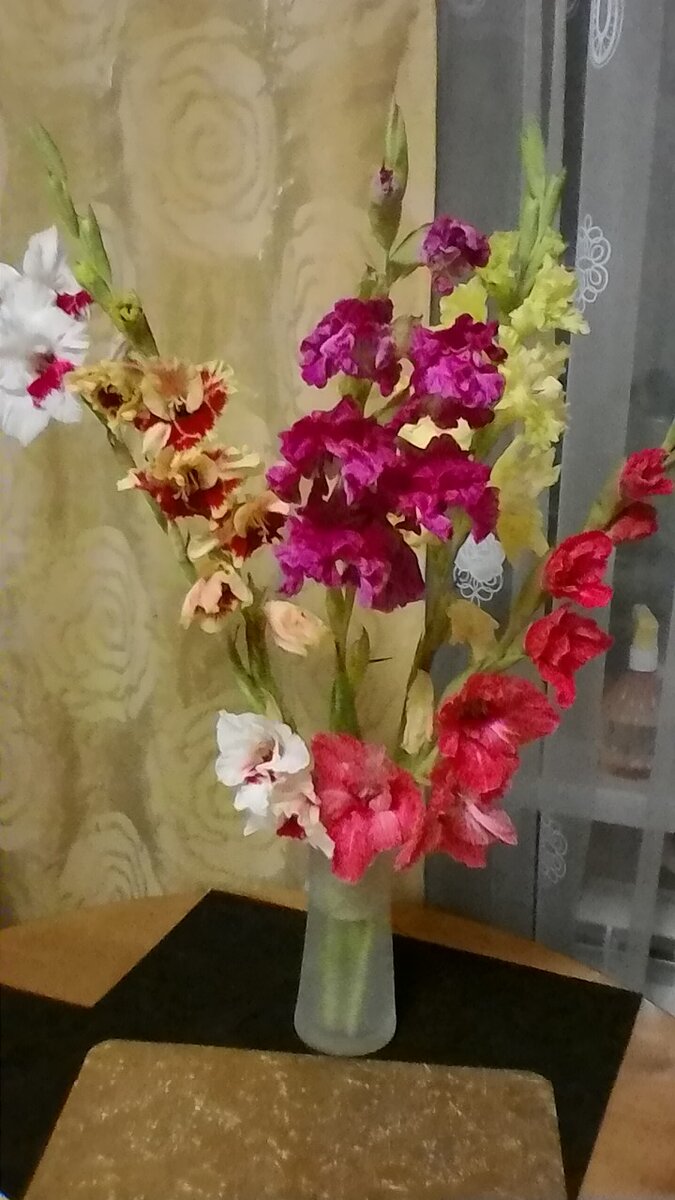 Фото автора. Моя утраченная коллекция