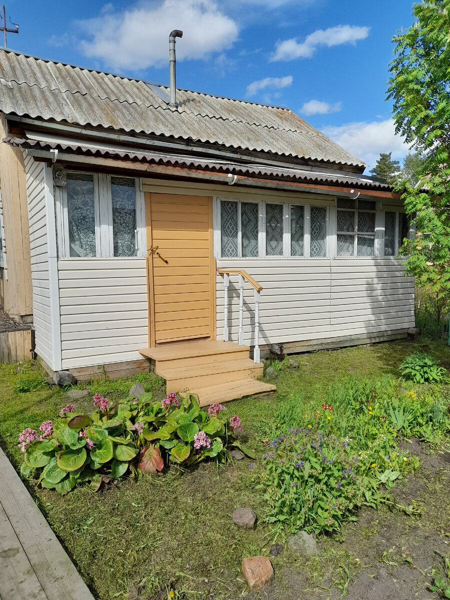 Фото автора. На даче порядок