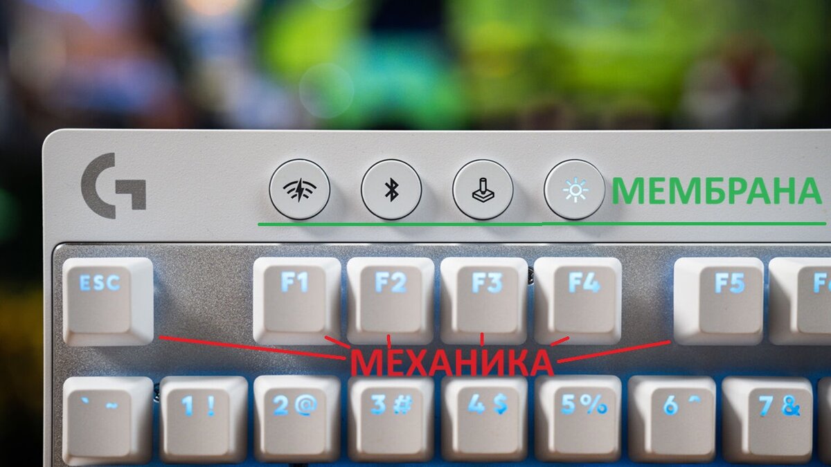 Клавиши f1 f12 не работают