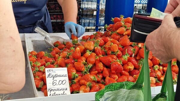    © Sputnik / Александр Жибуль