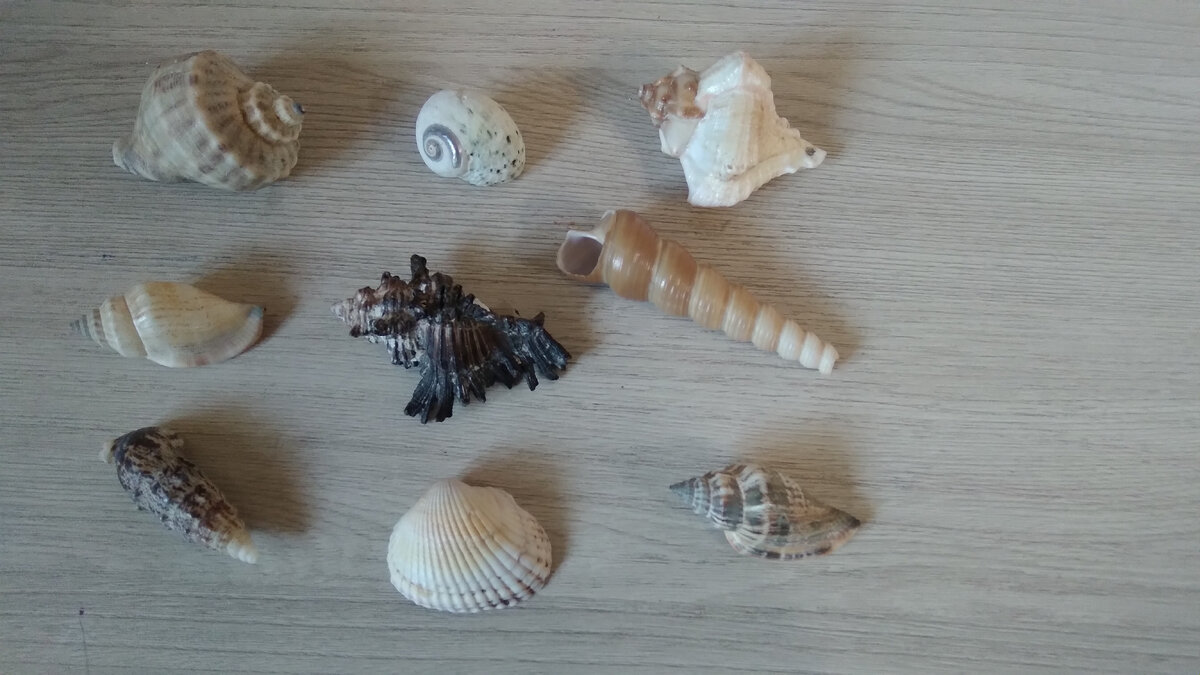 Варианты слева направо. В этой статье рассматриваем верхний ряд, во второй части - средний ряд, в третьей чамти- нижний ряд.