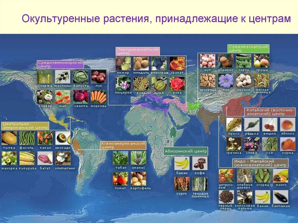 Это картинка про все центры