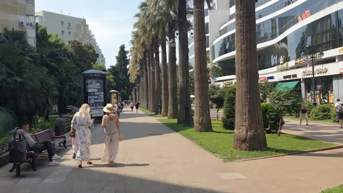 Сочи, 2023, здесь и далее все фотографии автора