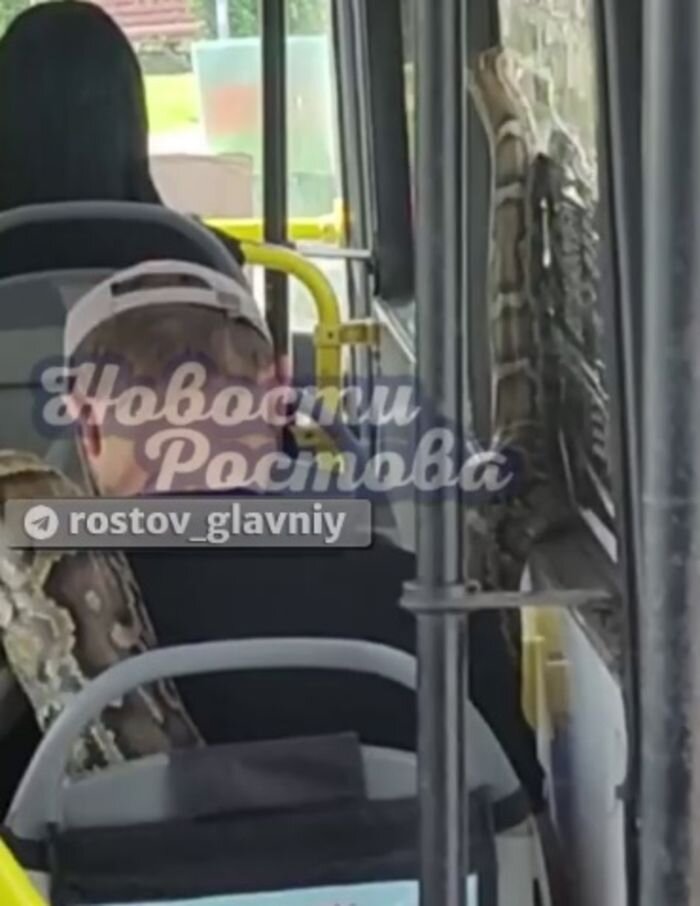 Ростов целина маршрутки