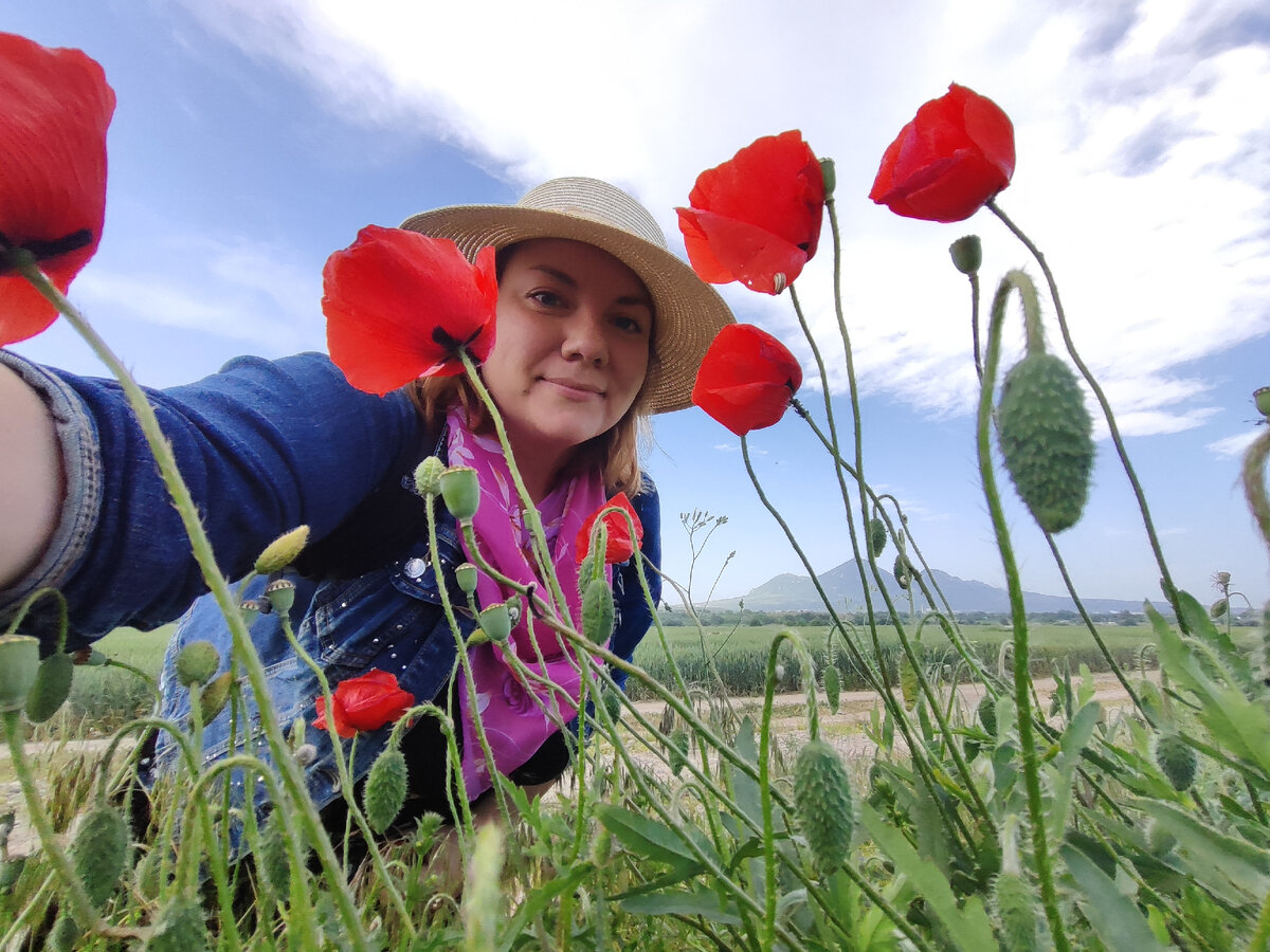 Маки накануне лета (май 2024 года) 