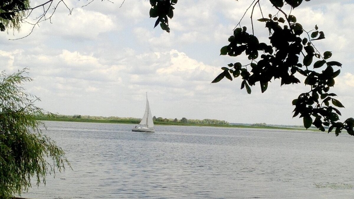    «Антитурбазу» в Энгельсе с недоступностью для катеров продают за 4 млнНовости Саратова и области – Сетевое издание «Репортер64»