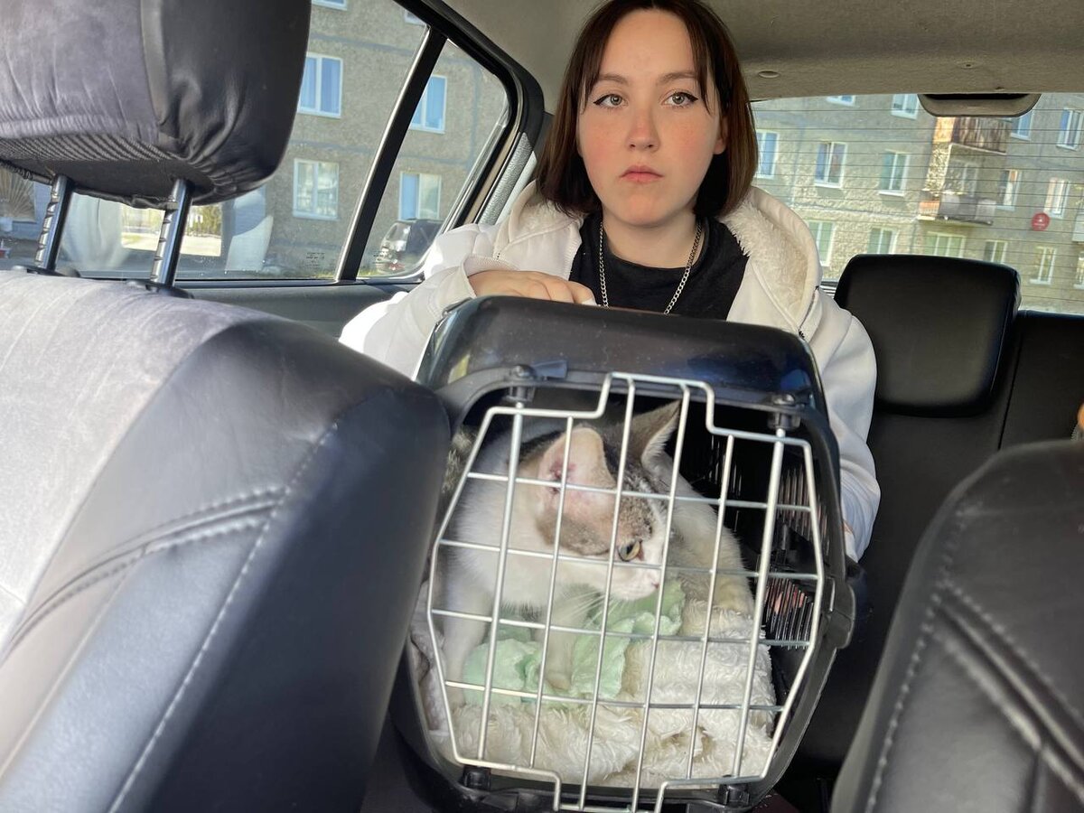 Катя, которая  нашла котенка и стала  его ангелом- хранителем  сопровождала Клео  в клинику