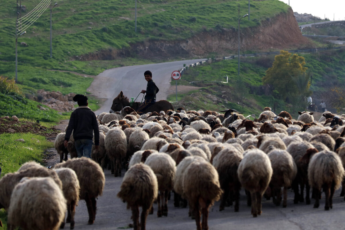 Фото: Mohammad Abu Ghosh/XinHua