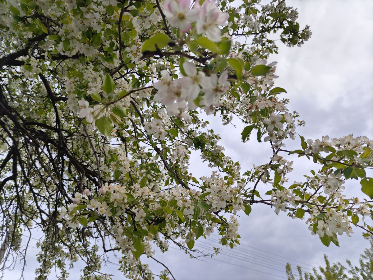 Фото автора.