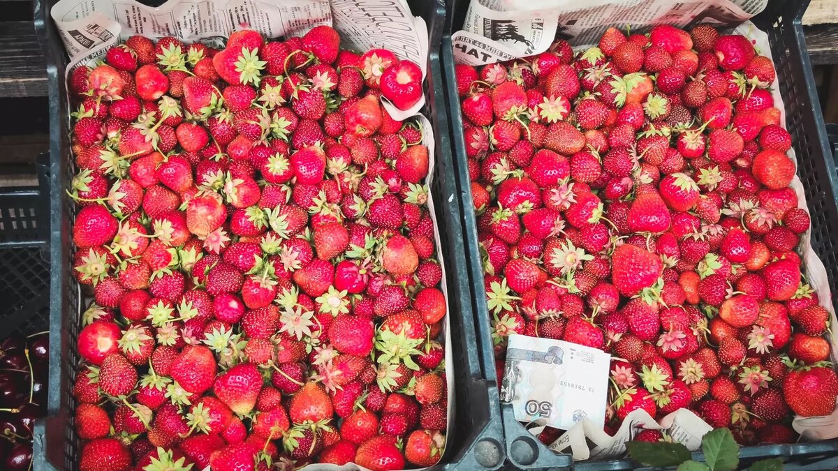     Источник: 1MI