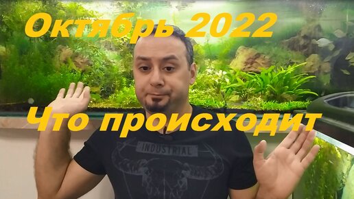 Аквановости на октябрь 2022. (Архив от 15.10.2022)