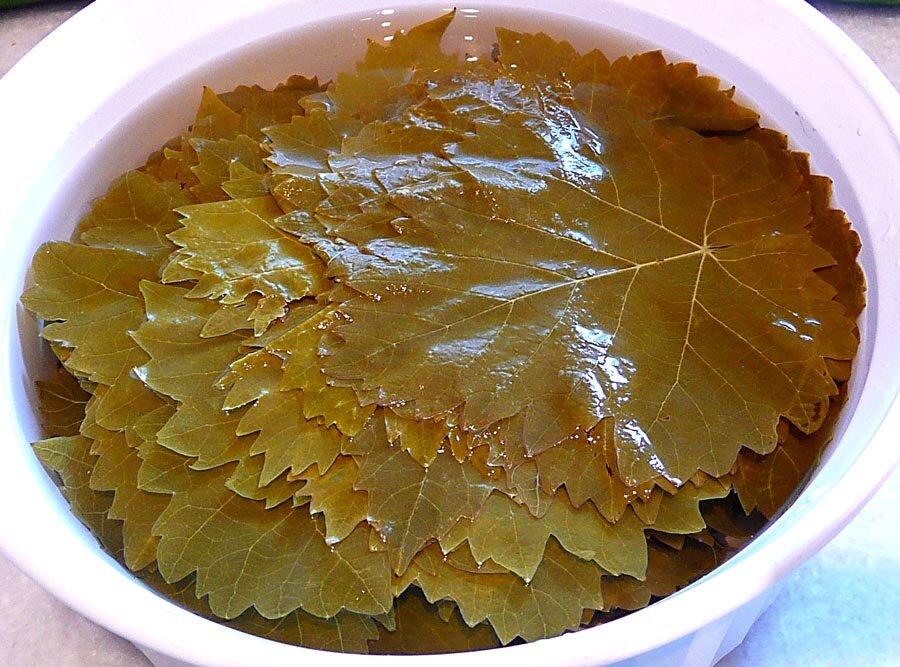 Листья винограда для долмы. Рецепт из соленых виноградных листьев. Долма в виноградных листьях. Рецепт из соленых виноградных листьев. Виноградные листья для долмы в банках.