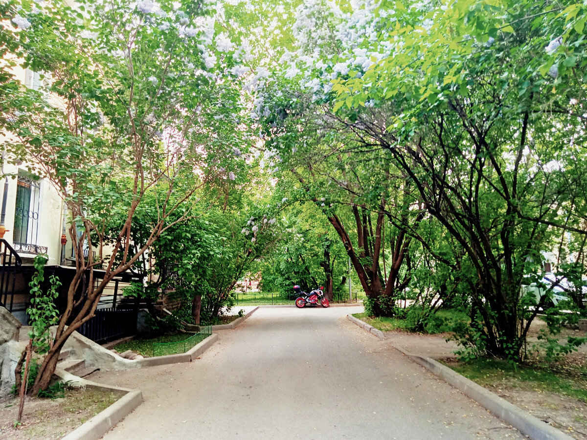 Дибуновская улица и улица Шиманского. Фото автора