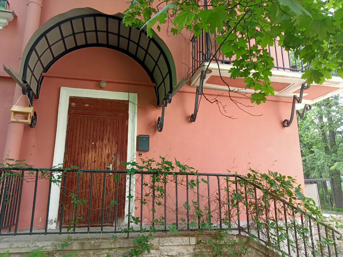 Дибуновская улица. Фото автора