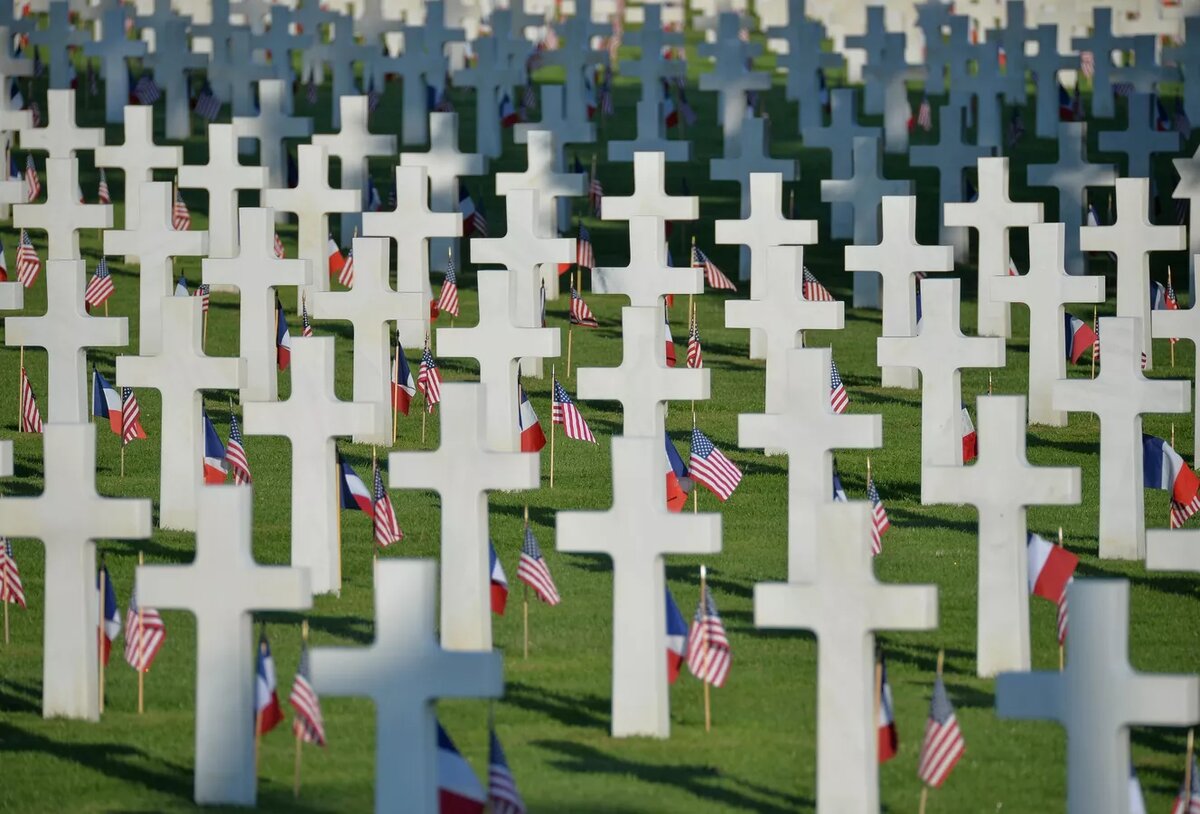 © Sputnik / Алексей Витвицкий 