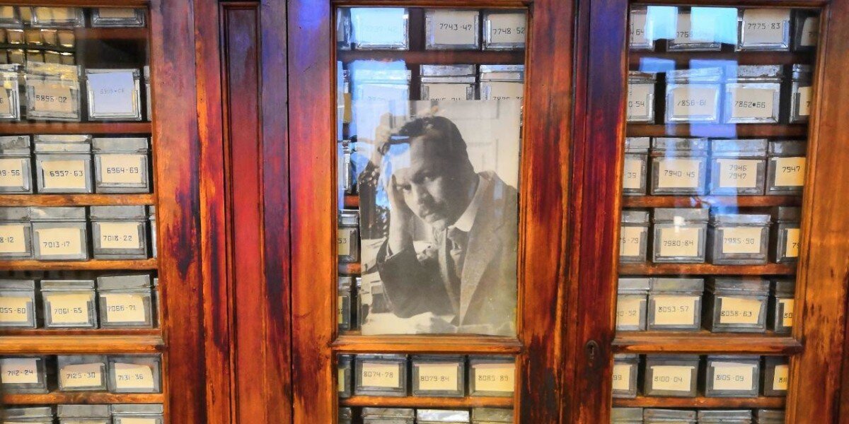 Коллекция Вавилова