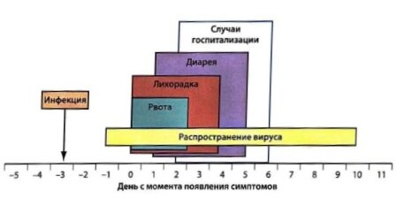 Инфекционные болезни с иллюстрациями Неттера 