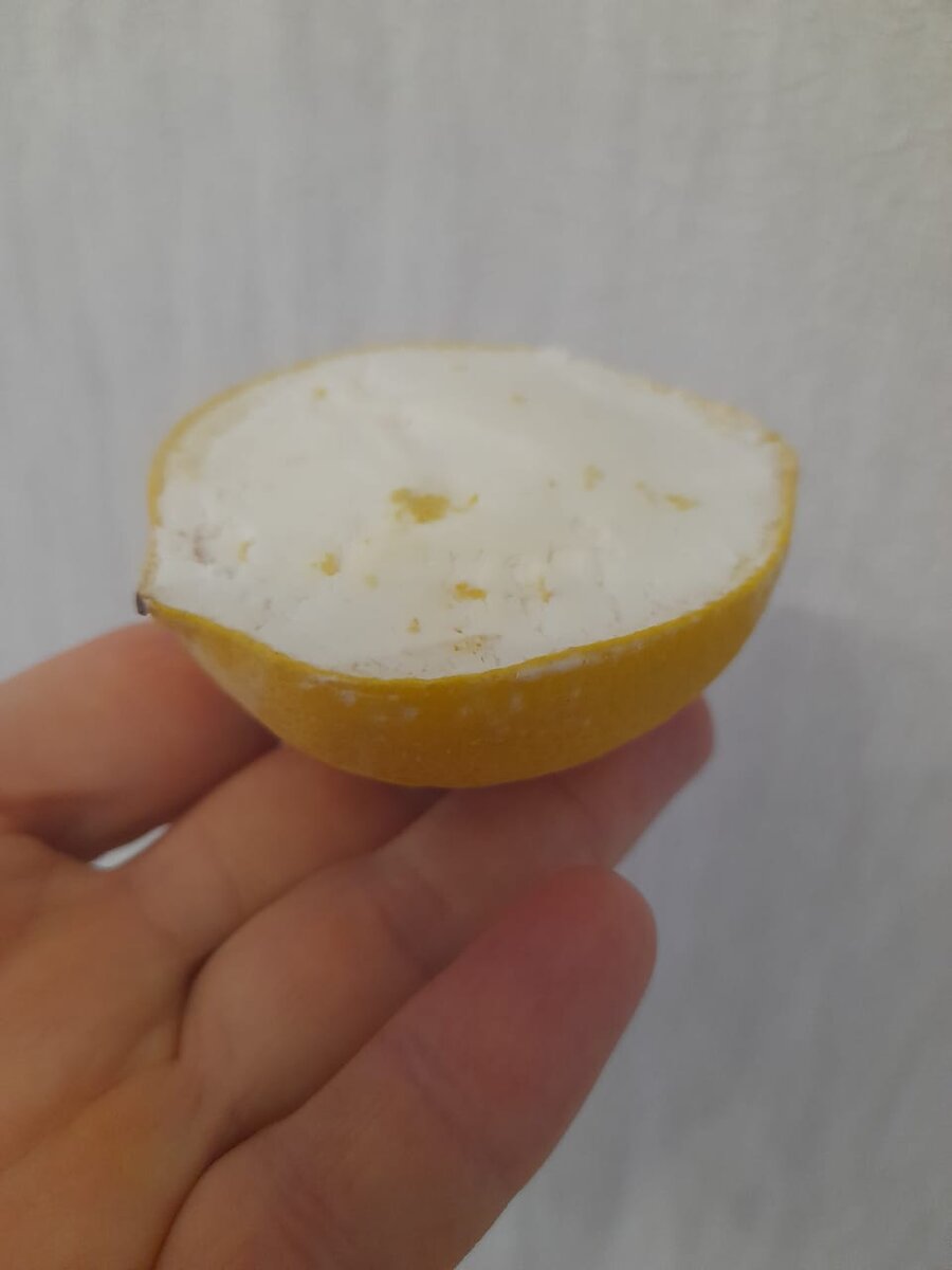 фото из личного архива