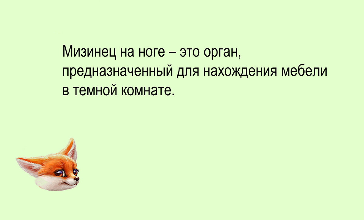 Изображение и текст автора.