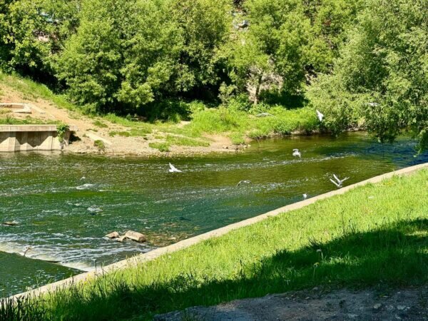    Фото: Светлана Лобова. UG.RU