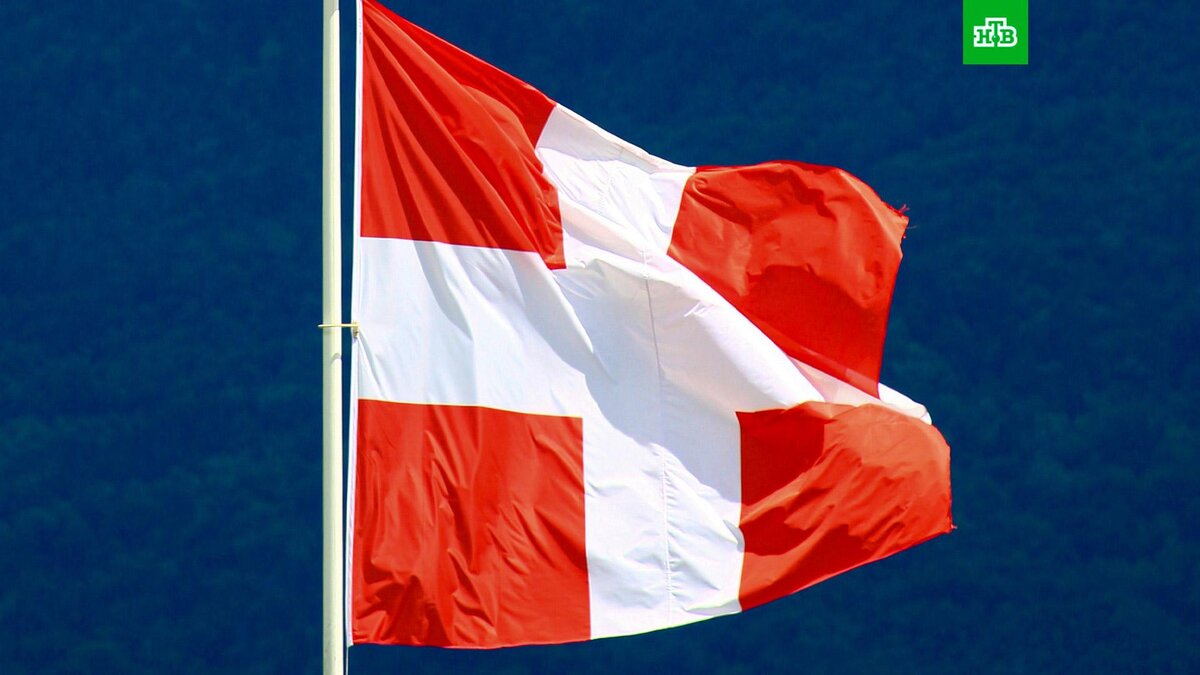    Фото: Olivier Darbonville / unsplash.com