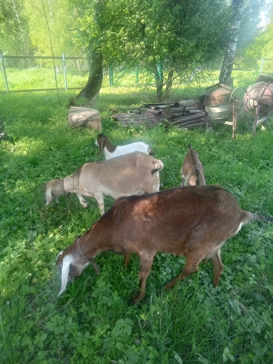 Фото автора. 