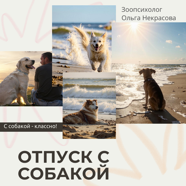 Гайд бесплатно отдаю. Ннадо? 