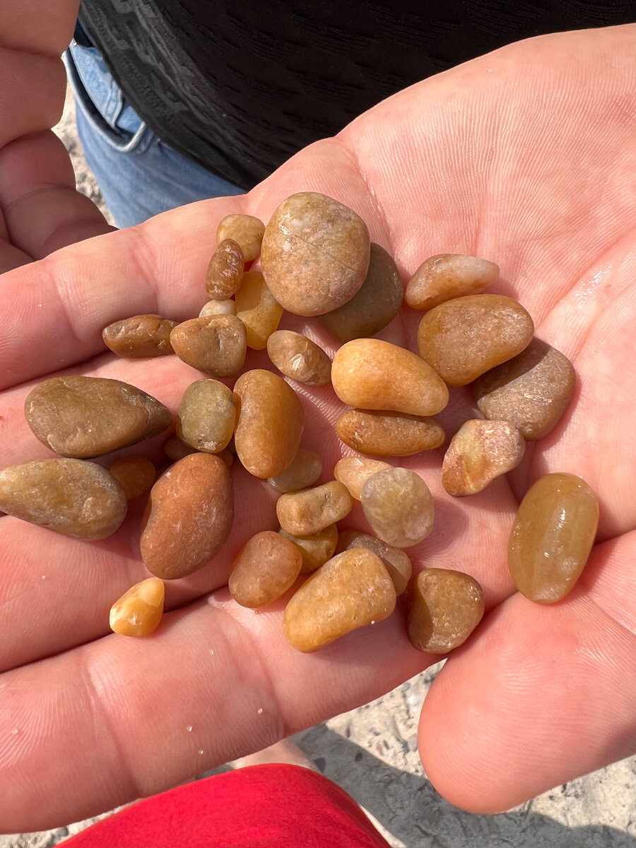 Денег не видать