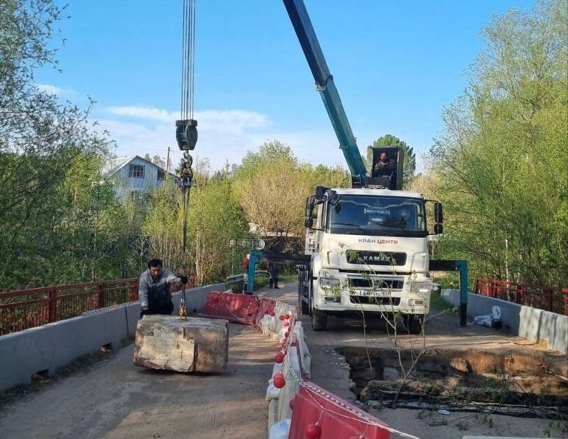    Фото: Владимир Цветов / Телеграм Алена Калашникова