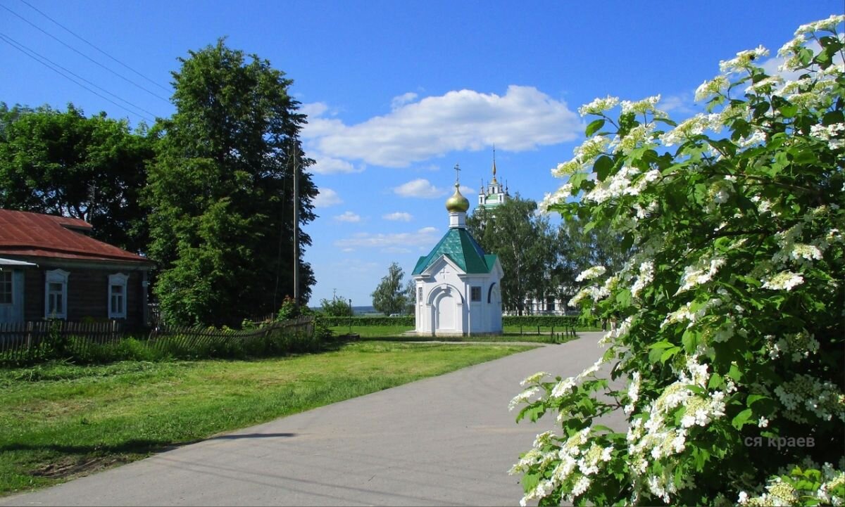 Родина Есенина и 