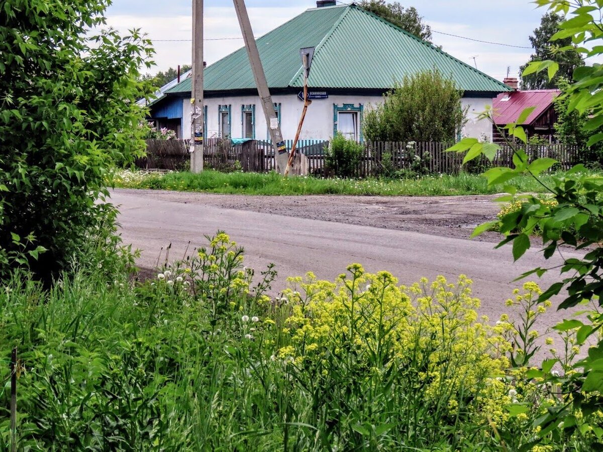 По цветущим ул. Нартова. Андреевская + дер. кружева - пос. шахты Северная -  Кемерово | Екатерина про Кемерово | Дзен