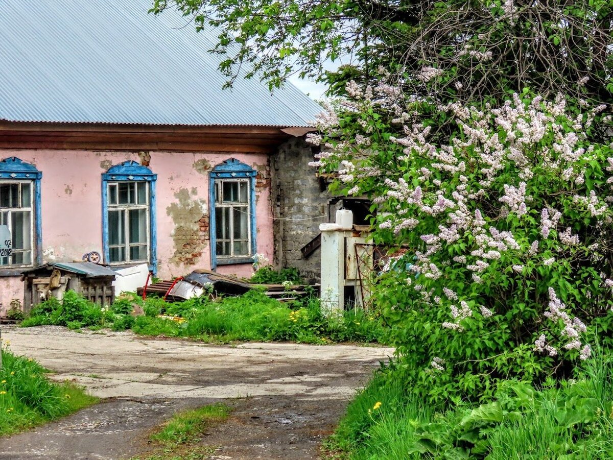 По цветущим ул. Нартова. Андреевская + дер. кружева - пос. шахты Северная -  Кемерово | Екатерина про Кемерово | Дзен