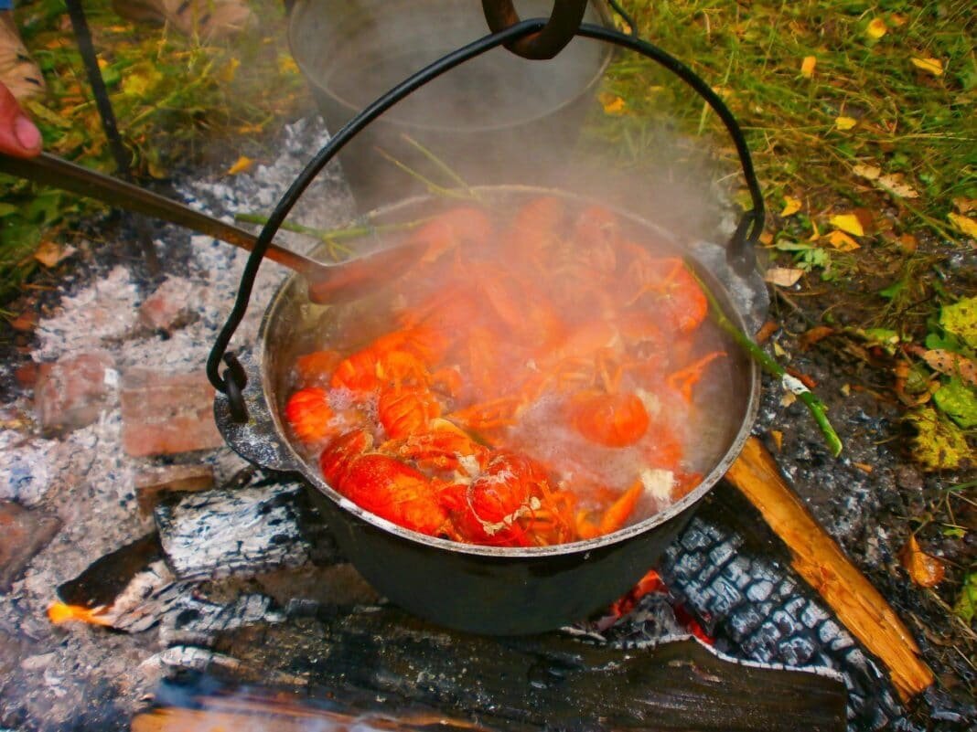 Иллюстрация взята из открытых источников