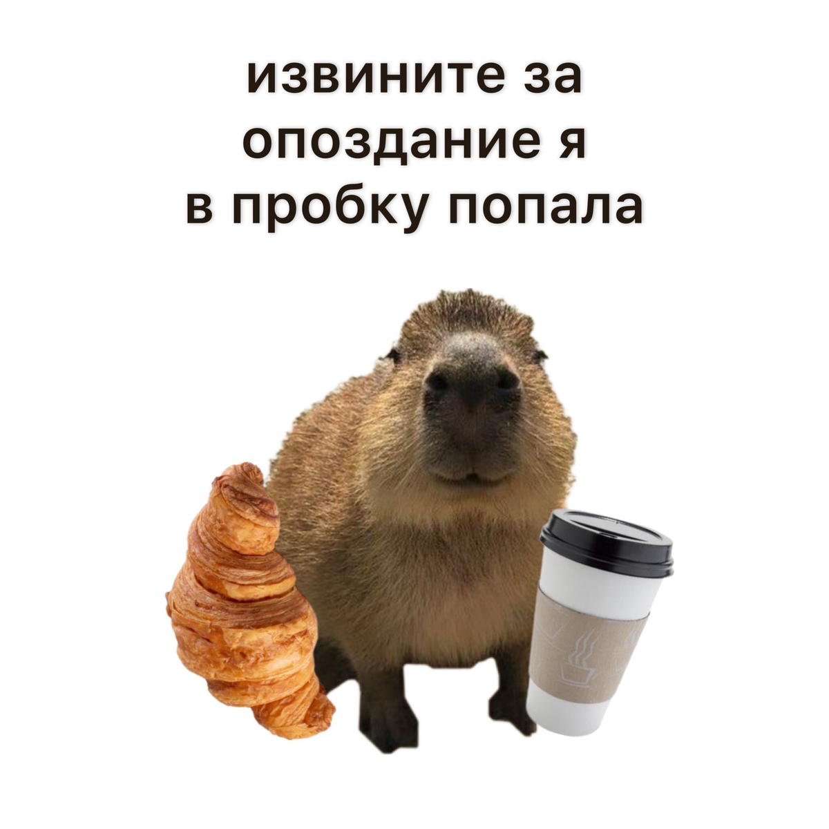 Комикс мем: "Опоздала? Я уезжаю назад! Ну и вали в свою однокомнатную Чехию!!!" 