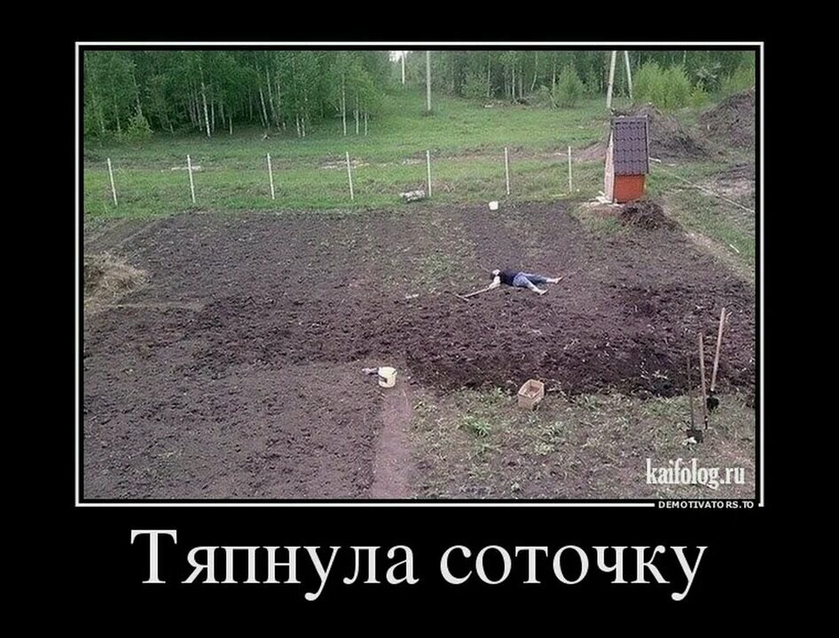 Фото из интернета. Прям как я вчера. 