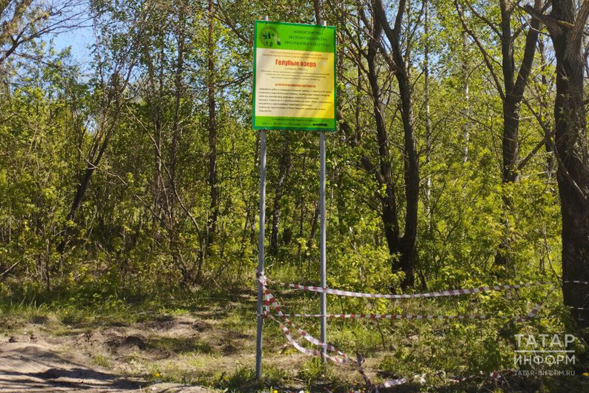 ​Первое, что попадается на пути, – информационная табличка Минлесхоза Татарстана. Фото: © Наталья Рыбакова / «Татар-информ»