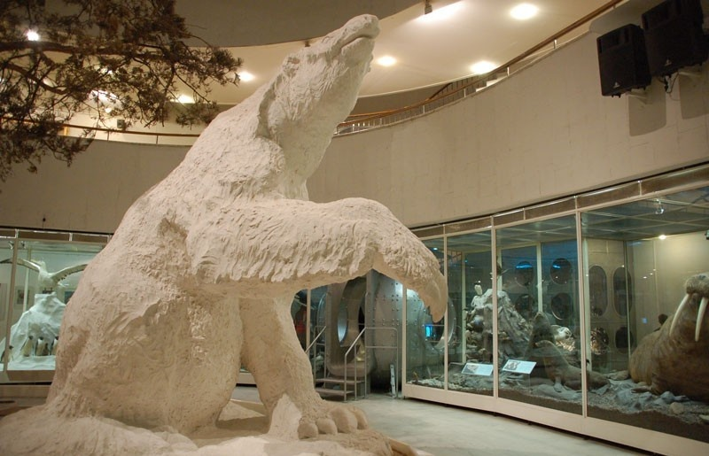 Скульптура мегатерия в Государственном Дарвиновском музее
