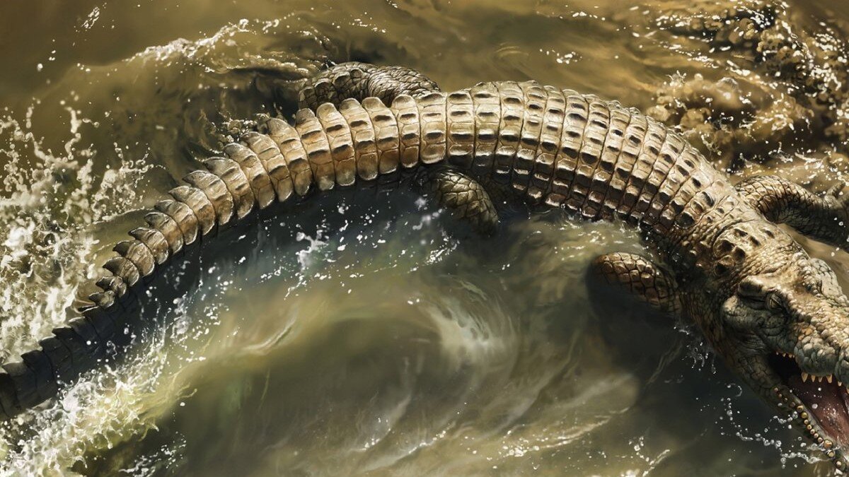 Нильский кайман. Фото klike.net