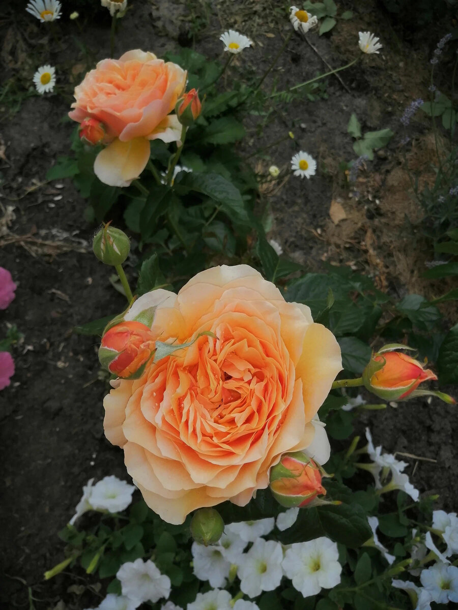 фото Наталии