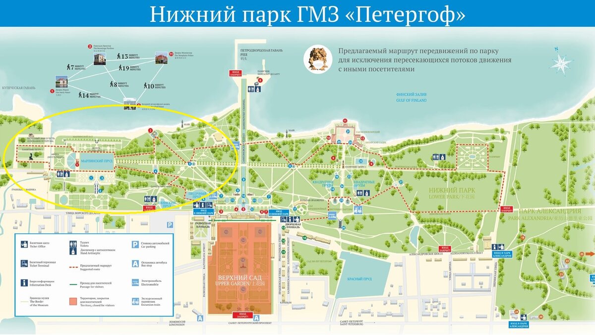 На чем можно добраться до петергофа. На чем можно добраться до петергофа