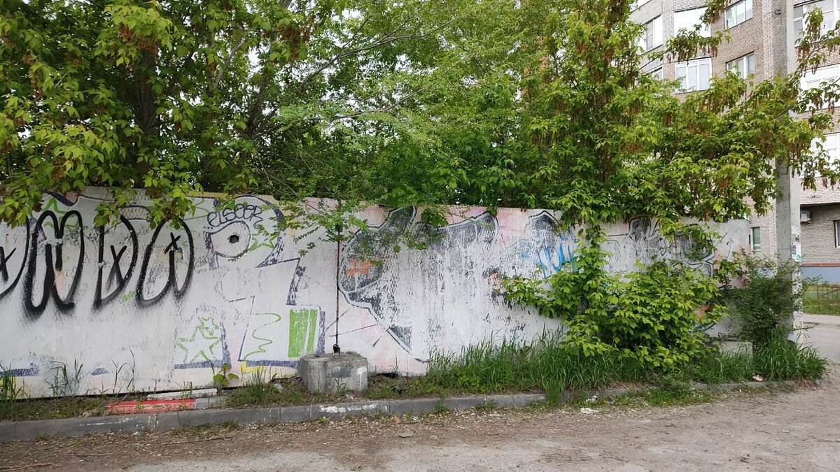     Автор: Юлия Истомина Источник: Город55