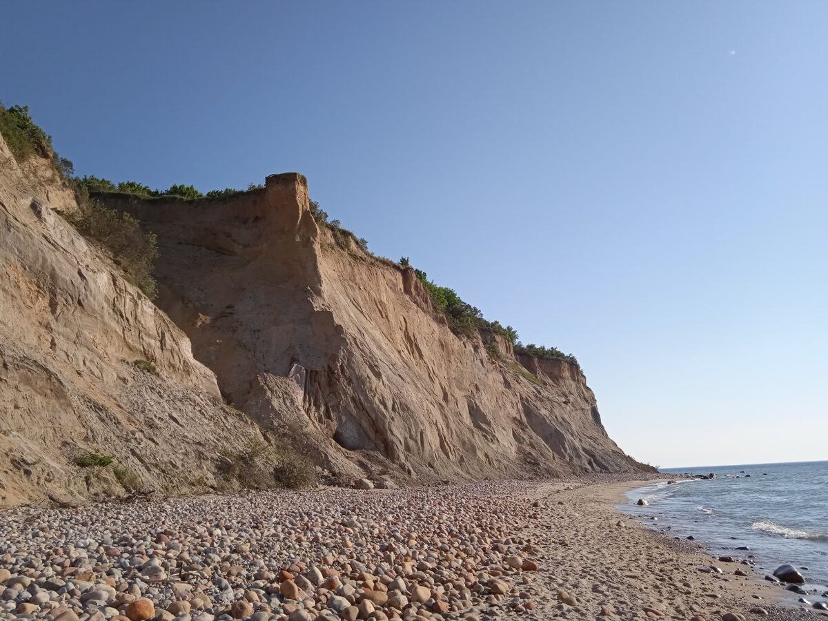 Калининградская обл. п.Донское. СНТ "Шторм". Фото автора. 