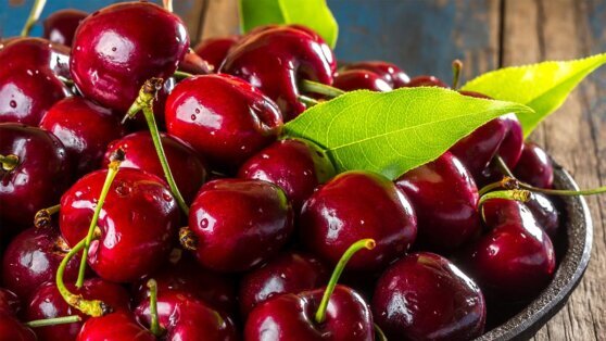    В АКОРТ предупредили о высокой доле импортной черешни на рынке из-за майских заморозков Татьяна Сидорова