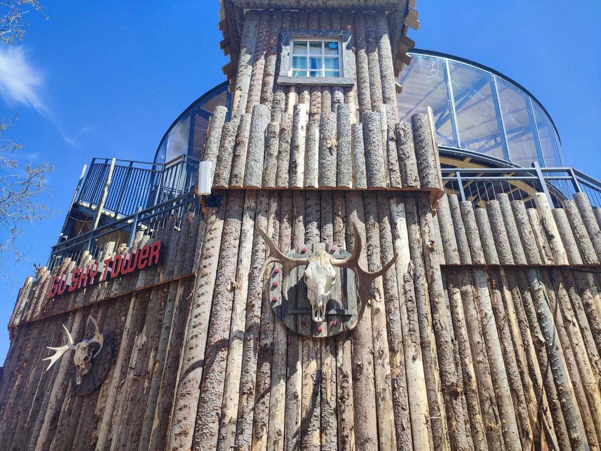    © Алёна Бронникова