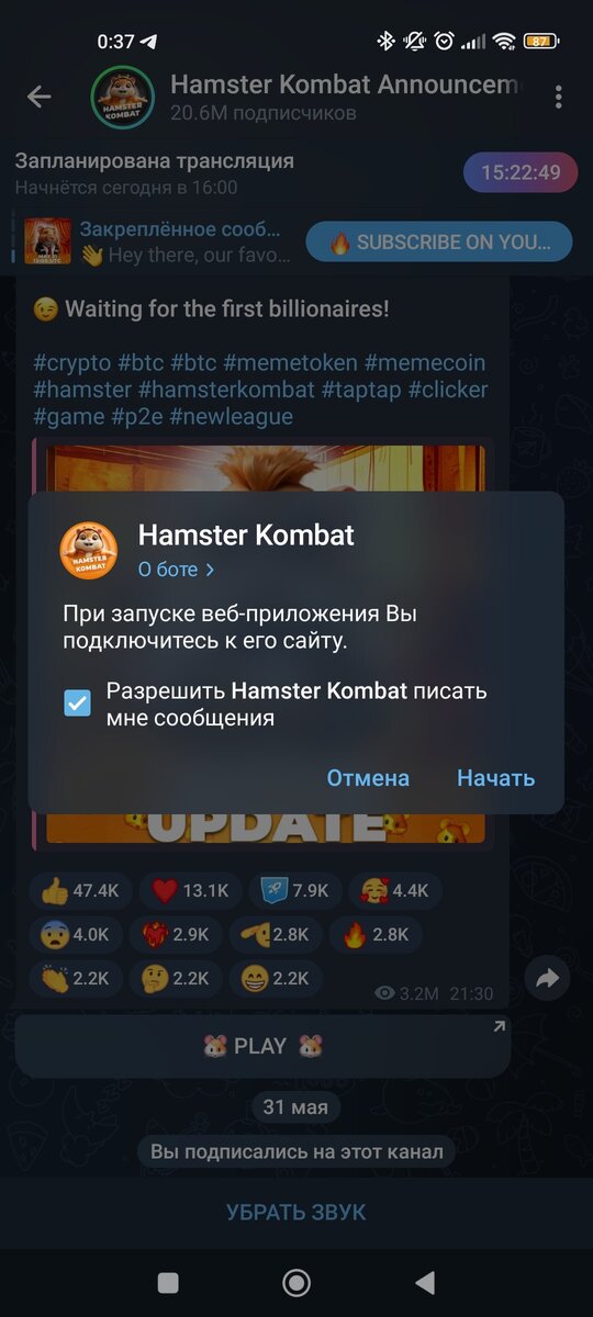 Запуск Hamster Kombat
